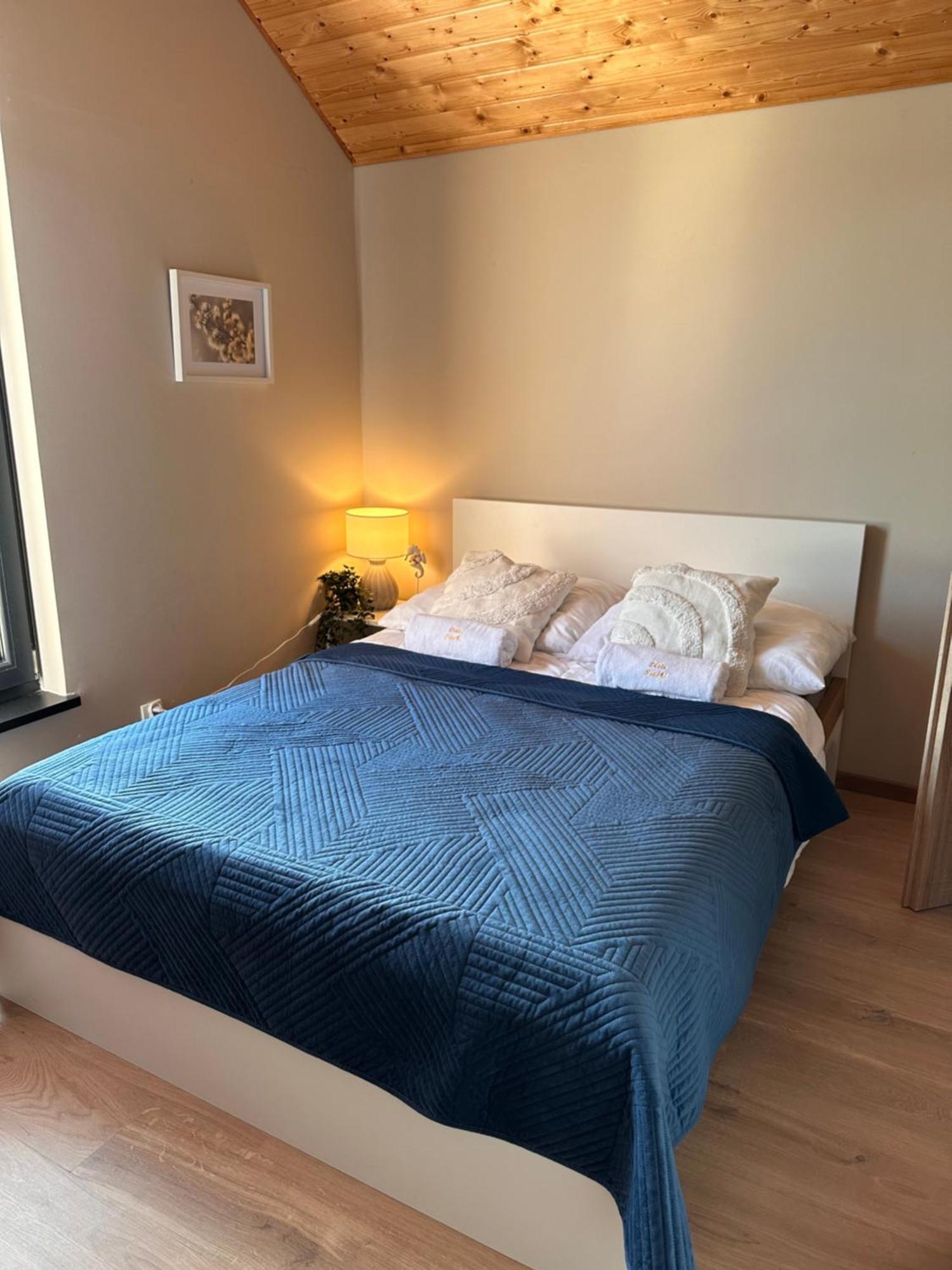 Domki Zlote Piaski Kryty Basen Sauna Jacuzzi Jastrzębia Góra Exterior foto